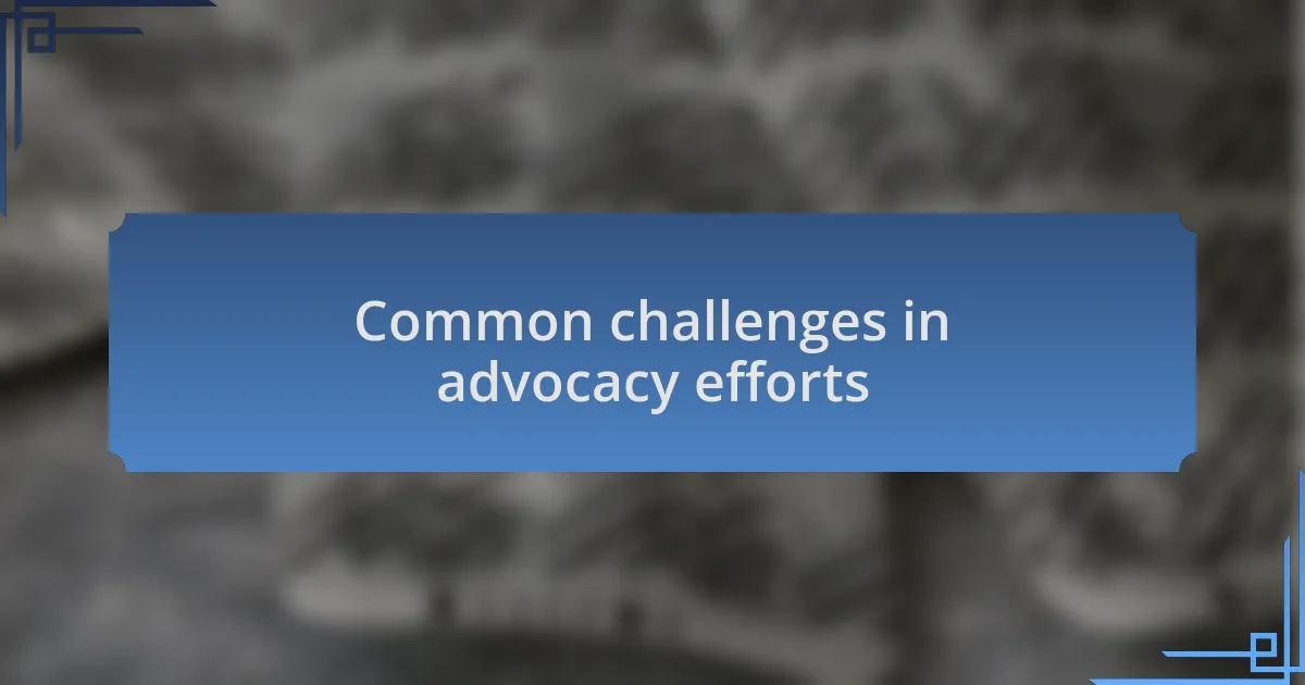 Common challenges in advocacy efforts