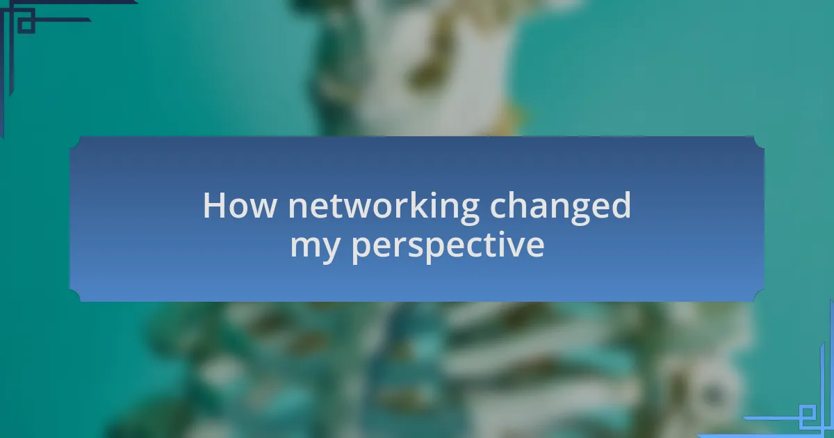 How networking changed my perspective