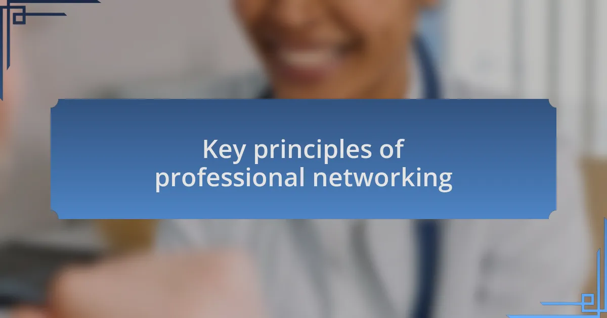 Key principles of professional networking